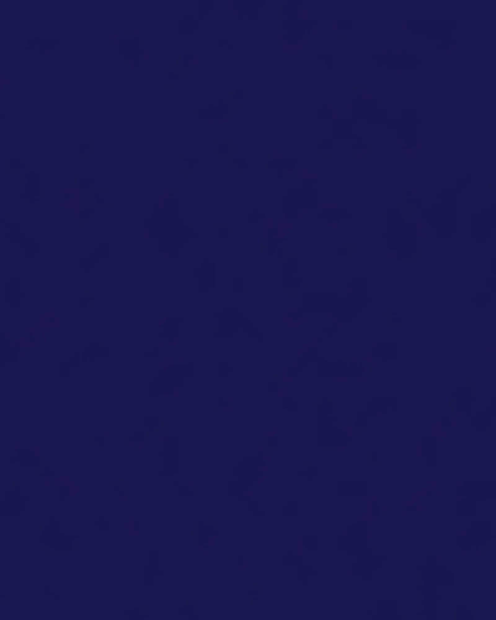 Long-Sleeve Top and Shorts Sleep Set | Navy/Navy